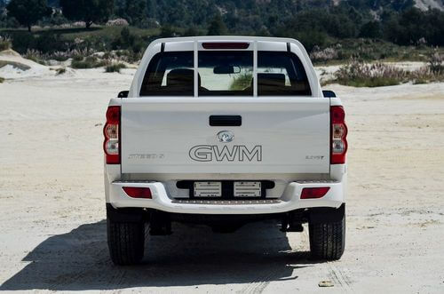 small_gwm_steed5_facelift_13_1_cbf462f471